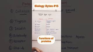 Biology Bytes 15 | Functions of proteins | NEET Study tips