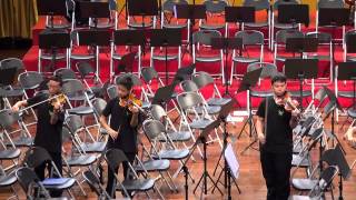 The Burning Strings- Love Story Meets Viva La Vida Meets Let it Go Meets Secrets  (2070)