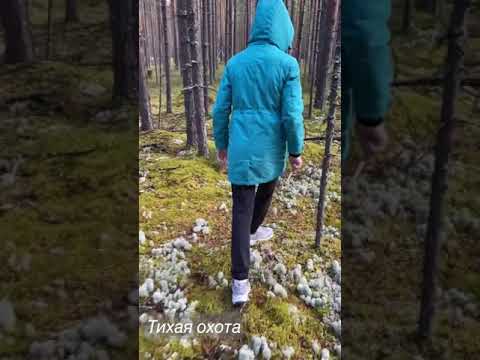 #Ухта …тихая охота…12.09.2021