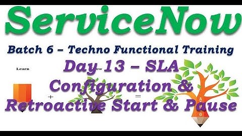 Batch 6 || Day 13 SLA Configuration & Retroactive Start - Pause ||Techno Functional Training