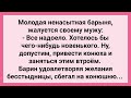 Барыня Предложила Мужу Привести Конюха! Сборник Свежих Смешных Жизненных Анекдотов!