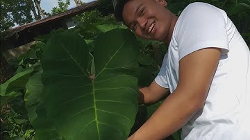 MATHEMATICS IN OUR MODERN WORLD | FRACTALS