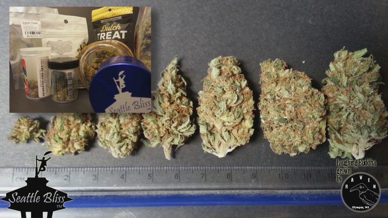 Introduction to Cannabis Flower Evaluation - Higher Ground Magazine