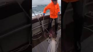 Squids Fly Onto Fishing Boat During Violent Storm 😱🌊
