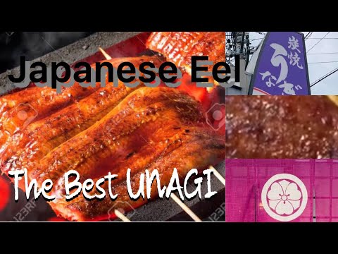 Video: Zvitki Z Jeguljo In Unagi Omako