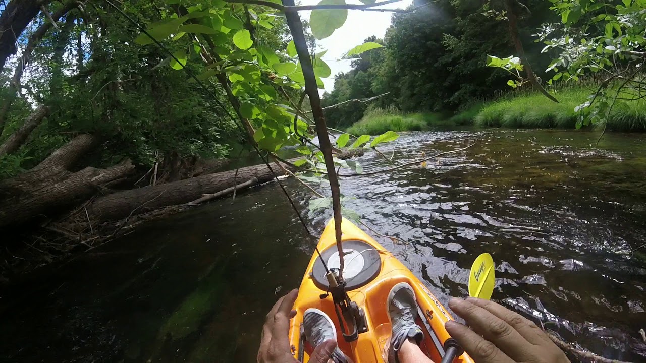 Big Eddy Kayaking the Nehalem YouTube