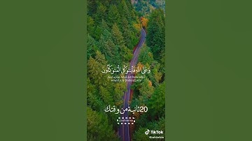 تلاوة خاشعة قرآن كريم بصوت القارئ اسلام صبحي