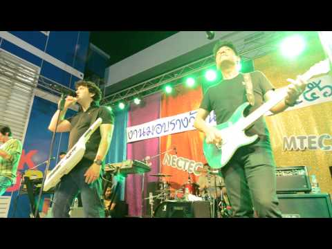 คางคกร่าเริง - Nuvo