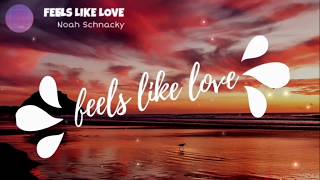 Feels Like Love - Noah Schnacky (lyrics) | Mix Melody