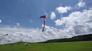 46th Annual Wright Kite Festival Pair flying with the Vamp Devil