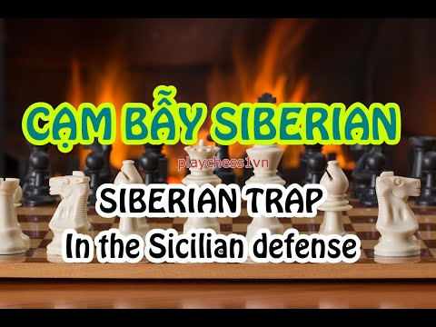 Video Cạm Bẫy Siberian (Phòng Thủ Sicilian) || Cạm Bẫy Khai... - youtube