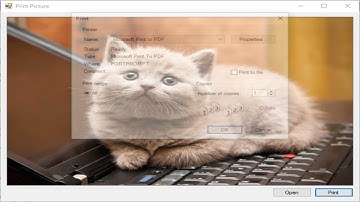 C# Tutorial - Print Picture Box | FoxLearn