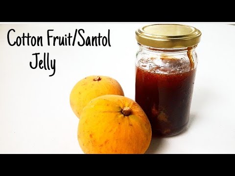 Cotton Fruit Jelly | Santol Jelly