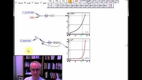 Minsky 03 Fish & Sharks Model 01