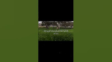 اجر لي ولكـم 💫🤎#كلير_تحبكم#قران_كريم#اكسبلور#لايك#راحة_نفسية#سورة_الزخرف#محمد_صديق_المنشاوي