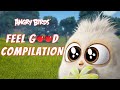 Angry Birds | Feel Good Compilation 1