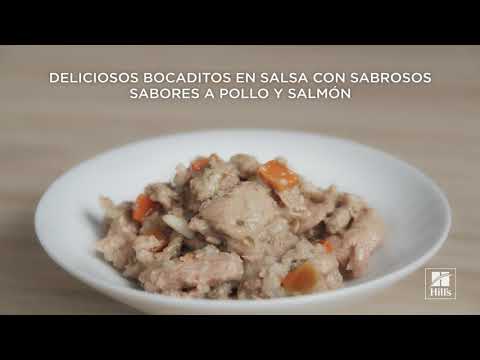 Video: Primal Pet Foods Retira Del Mercado La Fórmula Felina De Pollo Y Salmón Debido A Una Posible Contaminación Por Salmonella