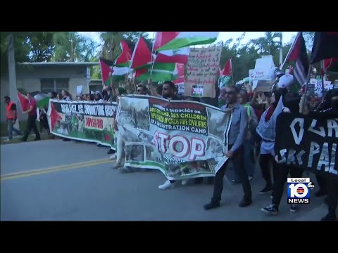 Israel-Hamas war protesters demonstrate at Miami International Airport, Fort Lauderdale