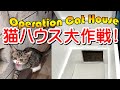 猫ハウス大作戦①!!野良猫の簡易休憩所を作って置いてみた!