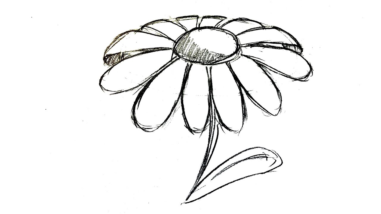 daisy flower drawing kids coloring page with pencil line art design in  detailed vector graphic 12714624 Vector Art at Vecteezy