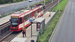 MHD86.cz: Městská doprava v Gdaňsku (2021)