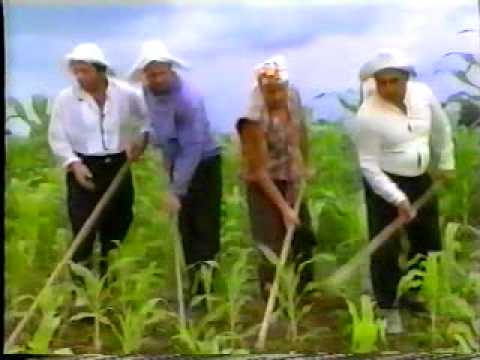 Qobuleturi naduri - mtas khokhobi aprenila. Gurian-Acharian folklore