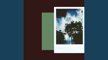 Pulsating Backdrops for Cute Coffee Break