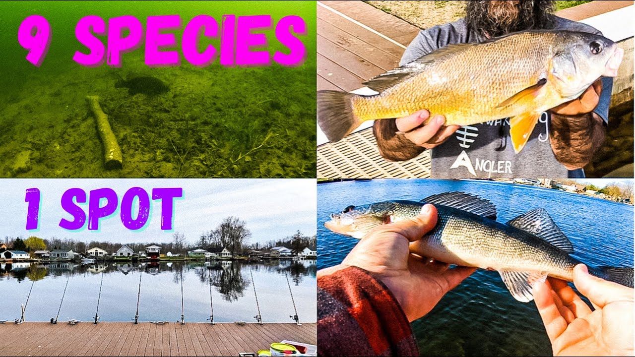 SHORE FISHING ONEIDA LAKE