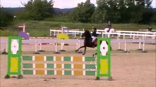 Bodfean Allegra  Show Jumping 1m Open at Towerlands