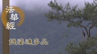 【靜思妙蓮華】法華經提婆達多品 - 淨心信奉 於法不疑 - 20230124 第1335集