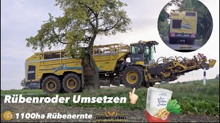 Beim Rübenroder Umsetzten ist die Straße zu! 1100ha Rüben LU Schaper Ropa Tiger 6S  Rübenkampagne