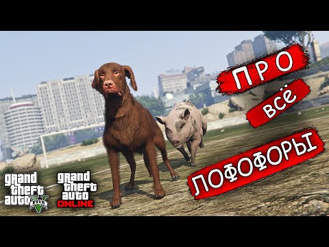 ВСË про ЛОФОФОРЫ в GTA 5/GTA Online