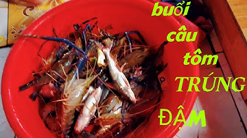 Câu Tôm cảng cái cui. Tập 3 và cái kết...