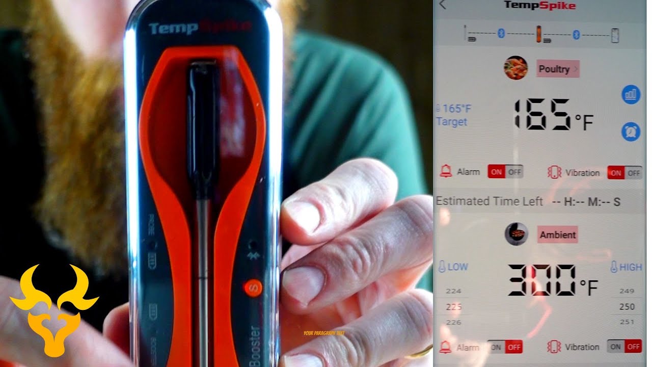  ThermoPro TempSpike Premium Truly Wireless Meat