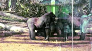 MVI_0509.AVI