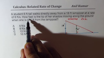 Calculus Related Rate of Change of Tip of Shadow