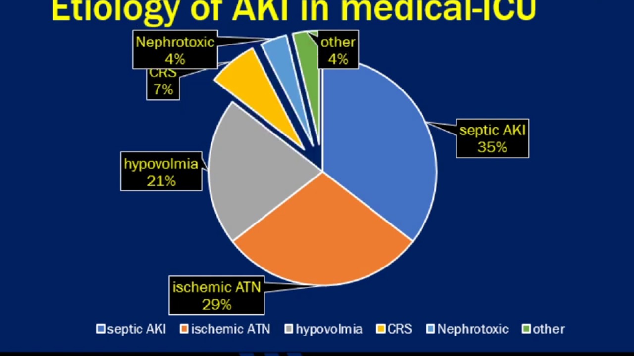 Fluid Precision in Acute Kidney Injury