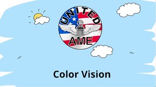 10   Color Vision 2025