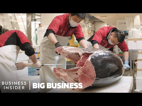 How much is a 600 lb tuna worth?