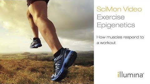 Exercise Epigenetics: How muscles respond to a workout | Illumina SciMon Video