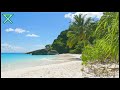  ocean waves  steel drum music  tropical paradise  relaxing beach ambience for 3 hours of bliss
