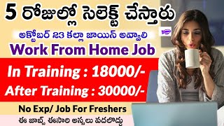 Work From Home Jobs Telugu || ఈ జాబ్స్ అస్సలు వదలొద్దు || Work From Home Telugu | Freshers Jobs