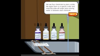 Gram Staining