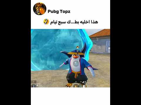 هذا اخليه بط ك سبع تيام ميمز ببجي ببجي موبايل