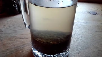 Experimental egregore creation with living fossil part 1 chaos magick