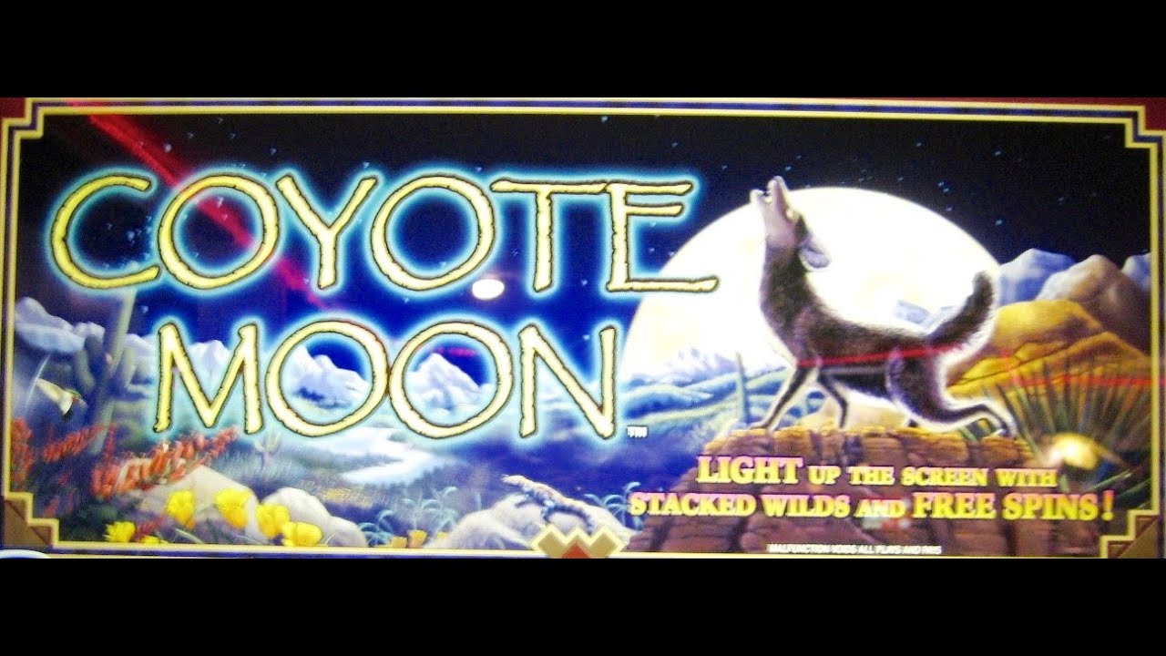 Coyote Coyote