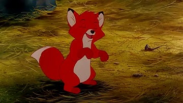 The Little Mer-Dog part 6 - "Part of Your World"