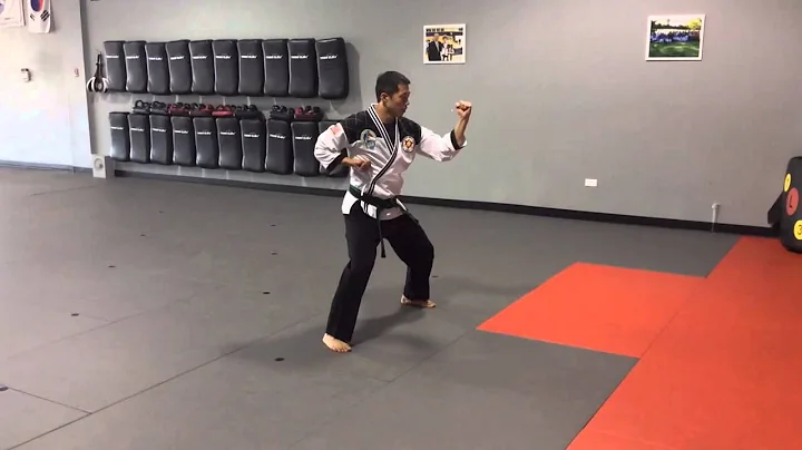 Chon Ji In Il Chang - Brown Stripe Kyuki-Do Form