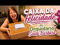 COMPREI ORQUÍDEAS NO ORQUIDÁRIO SANTA BÁRBARA, CHEGARAM PERFEITAS E MUITO RÁPIDO