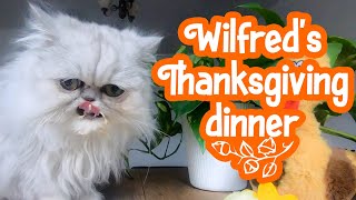 Thanksgiving with Wilfred Warrior!